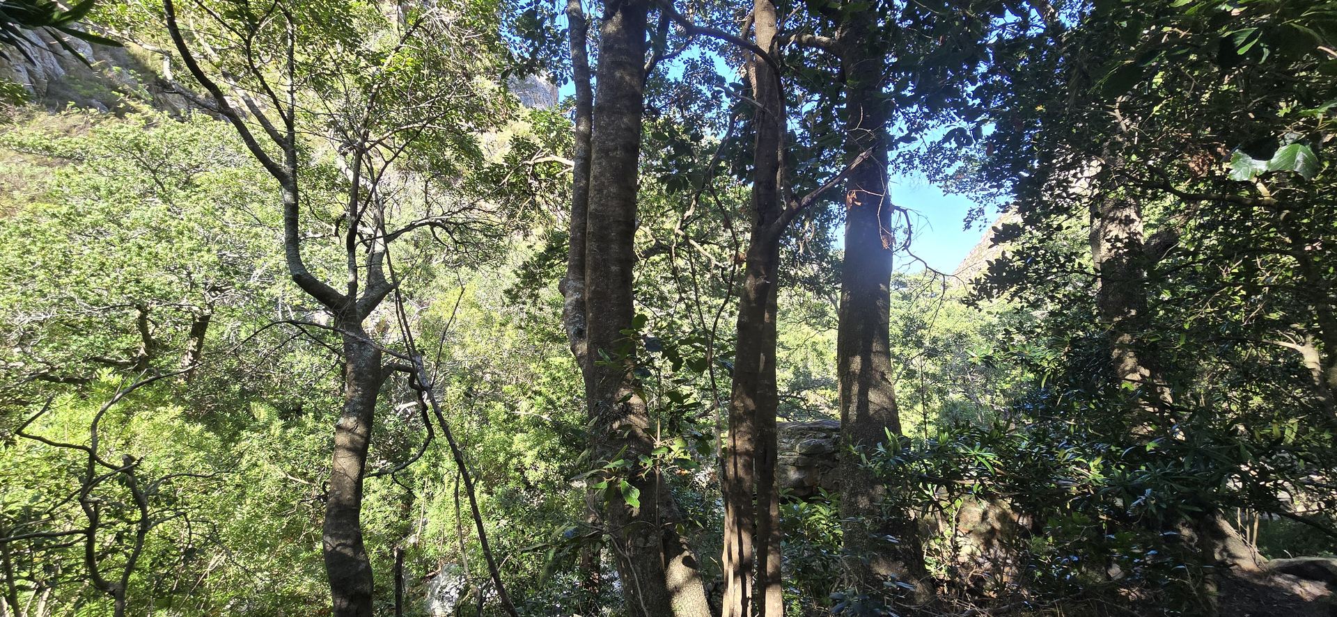 Leopards Kloof Photo 2